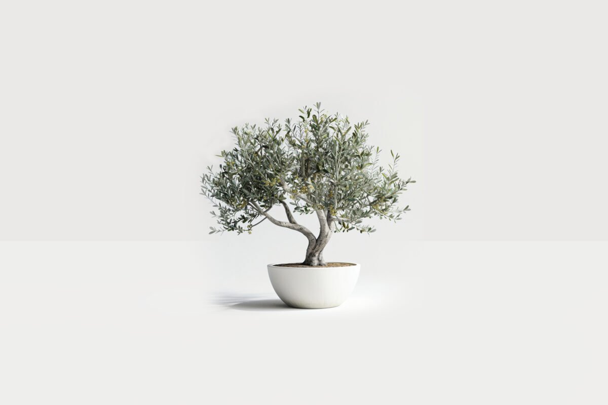 Online Lab Store